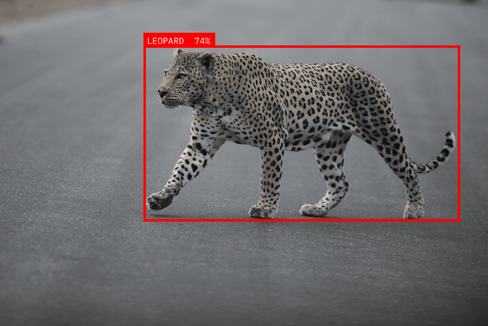 Wildlife Detection Image - Neuronetic Vision AI Surveillance Platform