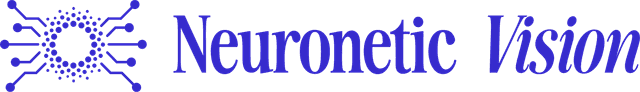 Logo Image - Neuronetic Vision AI Surveillance Platform